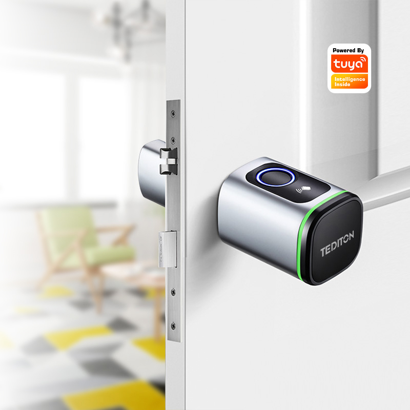 Airbnb Smart Home - Inteligentny zamek cylindryczny Tuya WiFi z